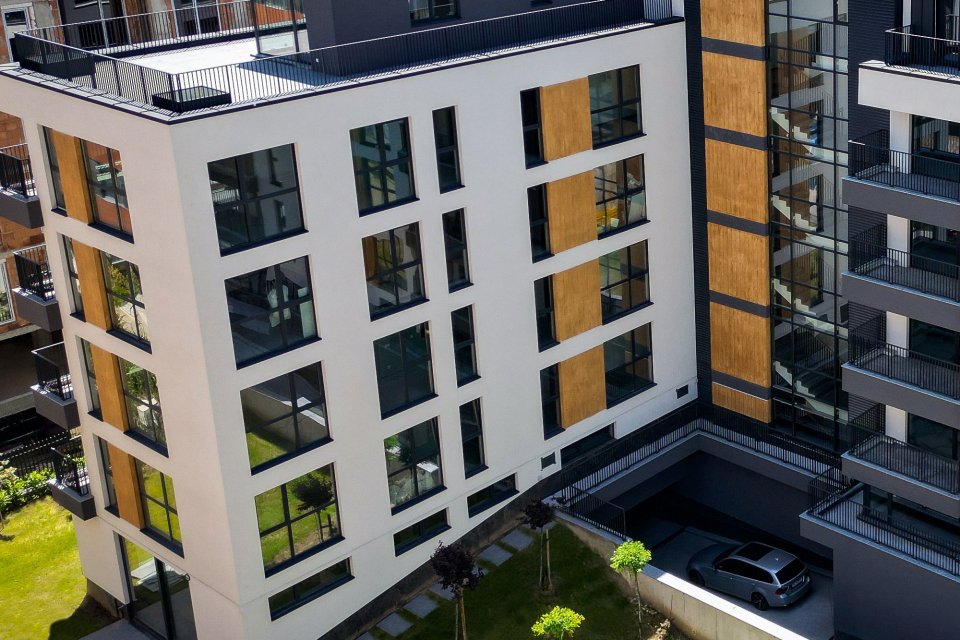 AMAYA -wycinek 2 na www